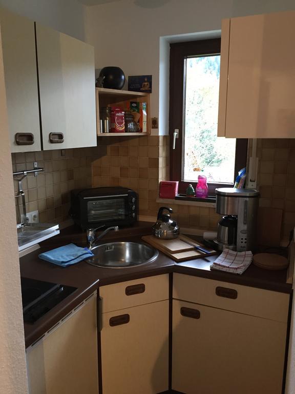 Apartment Rose Todtmoos Εξωτερικό φωτογραφία